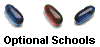 Optional Schools