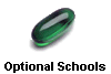 Optional Schools