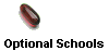 Optional Schools