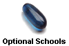 Optional Schools